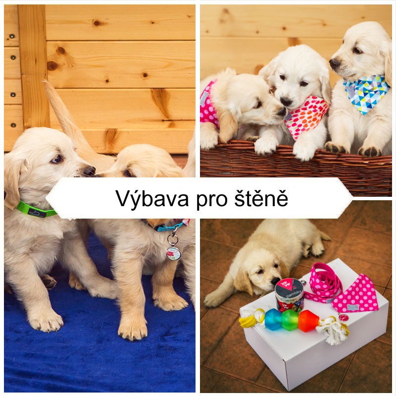 Základní výbava pro štěně