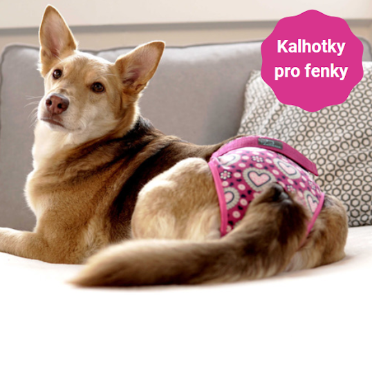 Hárací kalhotky pro fenky