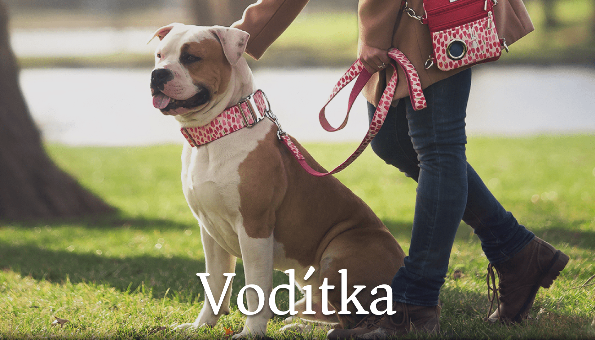 demeven_voditka_pro_psy