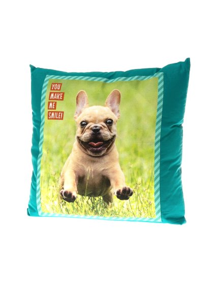 buldocek francouzsky predek polstar s plemenem psa fotkou modry demeven