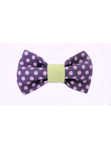 vyr 105Paris motylek pro psy obojek obojky s motylkem psi krasny stylovy collar dog bow tie beautiful stylish handmade luxusni
