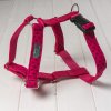 Pinkie ksiry pro psy psi ksirky postroj harness dog demeven krasny stylovy designovy beautiful stylish design