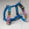Rainbow Ksiry pro psy psi ksirky postroj harness dog demeven krasny stylovy designovy beautiful stylish design