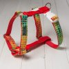 Ruby red Ksiry pro psy psi ksirky postroj harness dog demeven krasny stylovy designovy beautiful stylish design