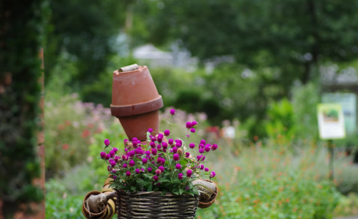 Dřevěné truhlíky na terasu a zahradu – Přírodní elegance pro váš venkovní prostor