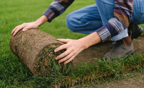 Vertikutace trávníku na jaře: kdy na to a co dělat potom