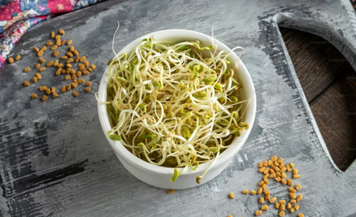 Jak klíčit semínka doma: průvodce pro začátečníky