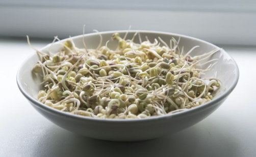 Klíčení mungo: návod krok za krokem a tipy z kuchyně