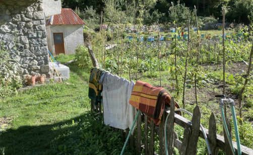 Jarní práce na zahradě: kdy začít a co udělat jako první