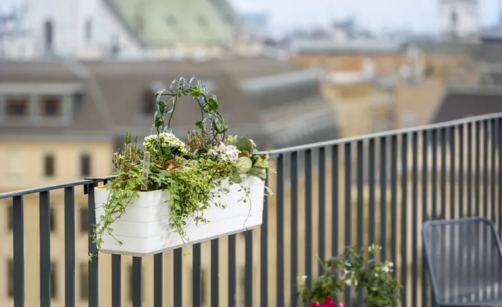 Truhlík na balkon: jak vybrat správný a co v něm pěstovat