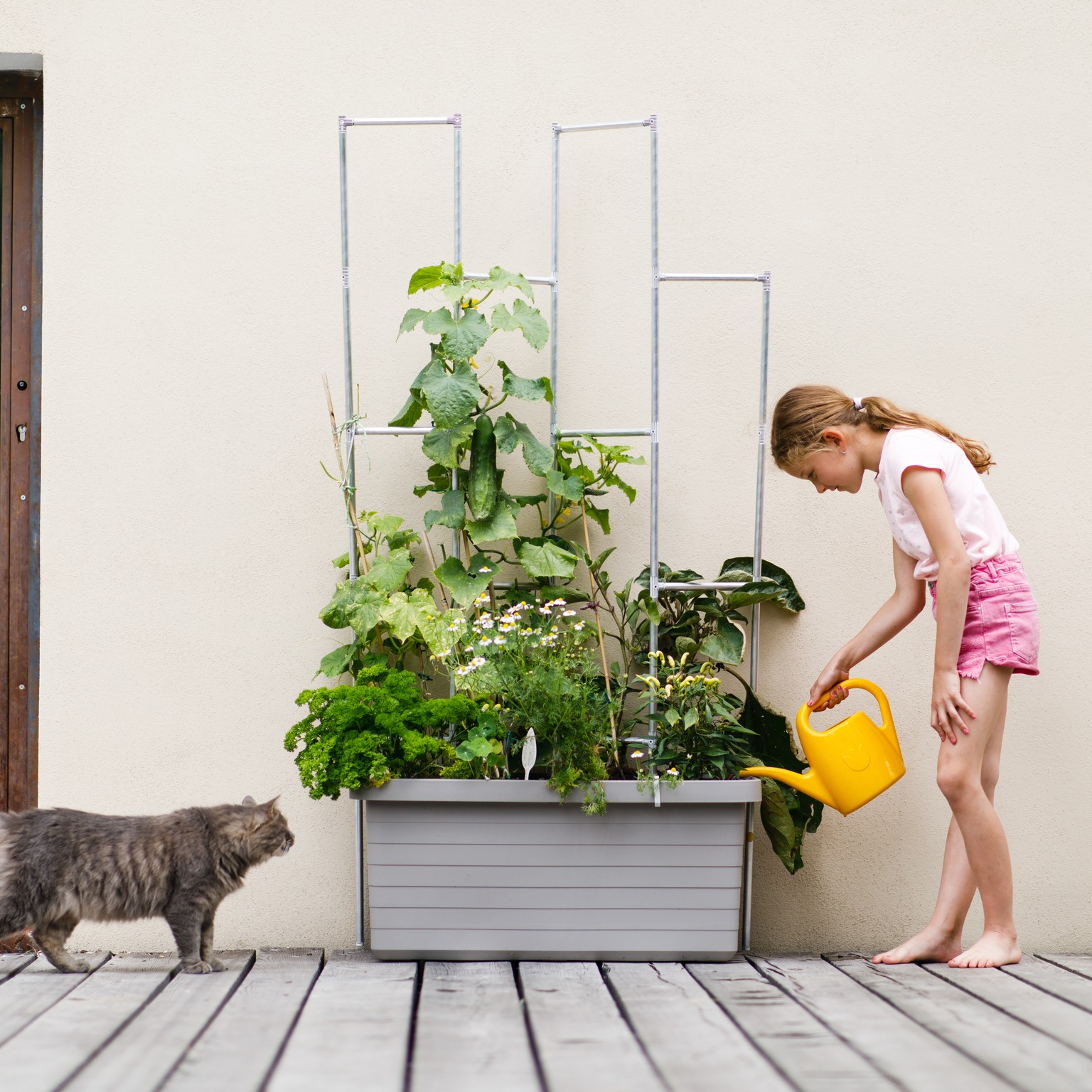 DemiGarden ilustrace