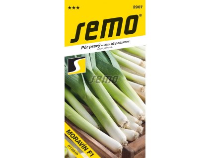 2907 semo zelenina por pravy moravin