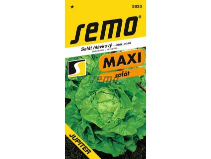 3833 semo zelenina salat hlavkovy jupiter