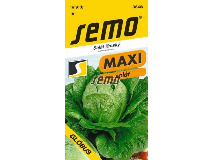 3848 semo zelenina salat rimsky globus