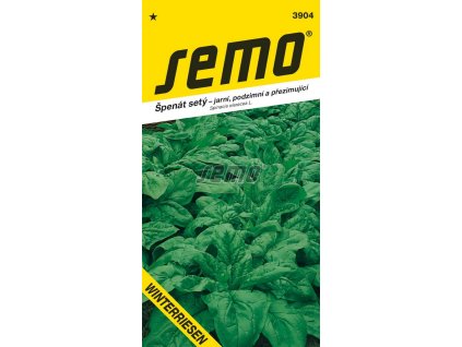3904 semo zelenina spenat sety winterriesen