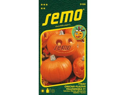 9198 semo kvetiny letnicky tykev yellowgirls