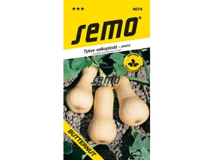 4074 semo zelenina tykev muskatova butternut