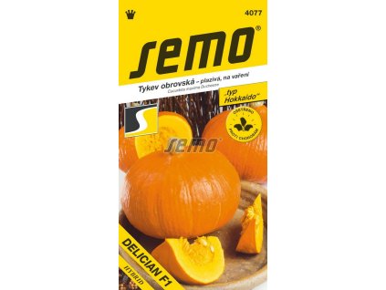 4077 semo zelenina tykev velkoploda delician