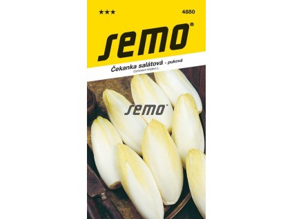 4850 semo zelenina cekanka salatova di bruxelles