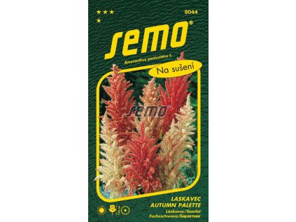 9044 semo kvetiny letnicky laskavec autumn palette