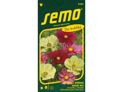 9181 semo kvetiny letnicky krasenka zperena dwarf mix