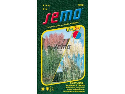 9202 semo kvetiny trvalky kortaderie pampova trava pink and white