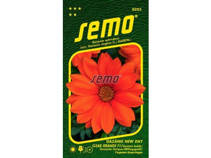 9253 semo kvetiny letnicky gazanie zariva new day clear orange