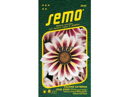 9256 semo kvetiny letnicky gazanie zariva daybreak rose stripe