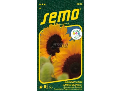 9282 semo kvetiny letnicky slunecnice rocni sunrich orange