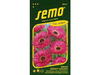 9314 semo kvetiny letnicky smilek ruzovy nesmrtelka goliath