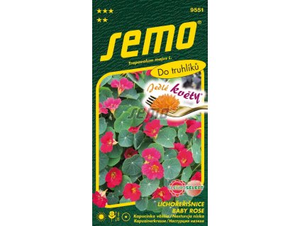 9551 semo kvetiny letnicky lichorerisnice vetsi baby rose