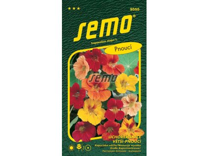 9555 semo kvetiny letnicky lichorerisnice vetsi grande smes