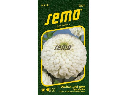 9574 semo kvetiny letnicky ostalka lepa nina (1)