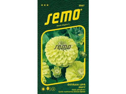 9587 semo kvetiny letnicky ostalka lepa envy