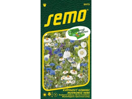 9973 semo kvetiny letnicky smes letnicek modrobile nebe