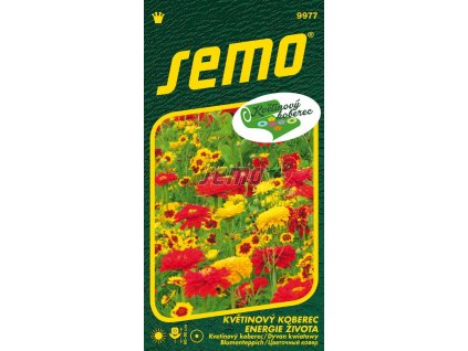 9977 semo kvetiny letnicky smes letnicek energie zivota