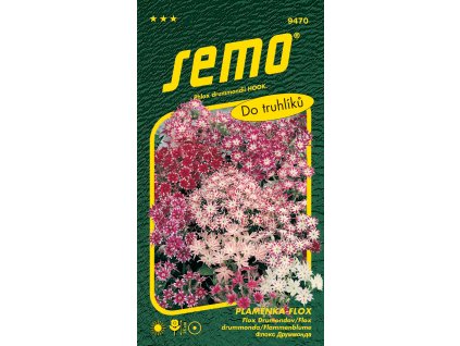 Plaménka (flox) CUSPIDATA SMĚS