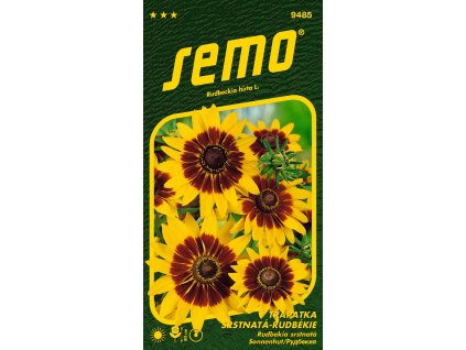 Třapatka srstnatá - rudbekie GLORIA DAISY - 90 cm, k řezu