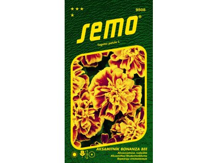 Aksamitník rozkladitý BONANZE BEE