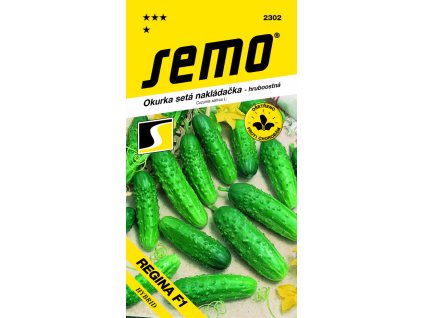 2302 okurka%20nakl.hruboost.%20REGINA%20F1