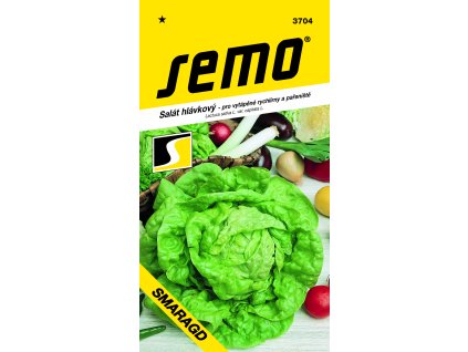 Salát hlávkový k rychlení SMARAGD "S" - skleníky, pařeniště