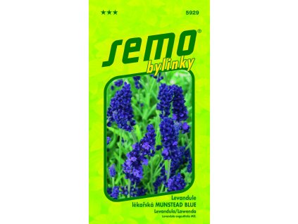 5929 levandule%20MUNSTEAD%20BLUE