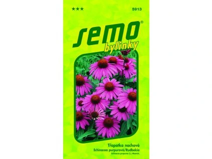 Třapatka nachová ECHINACEA