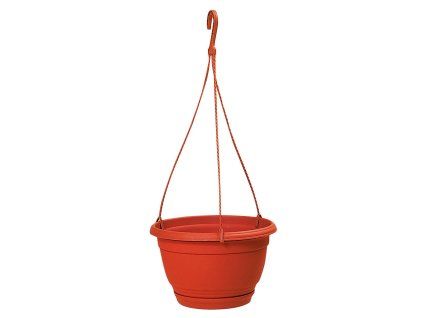Obrázek (3735)