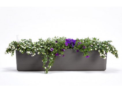 1909748024 2 575x371