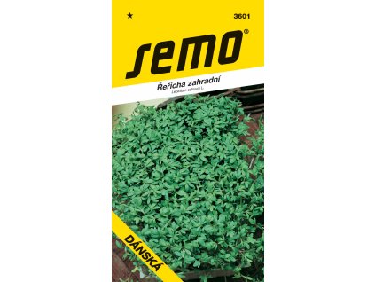 3601 rericha%20DaNSKa