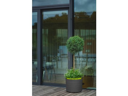 BERBERIS velkoobjemova nadoba 55 Antracit Zelena 2