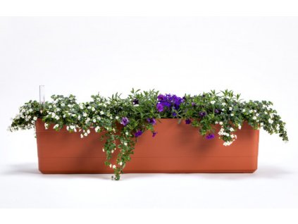 1909748003 2 575x371