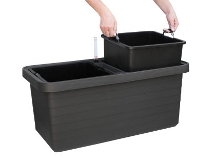 truhlik berberis vytahnuta nadoba