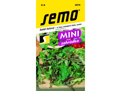 Salát listový - Směs k řezu mladých listů